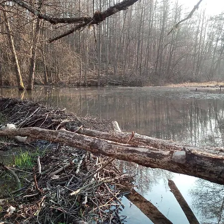 Chateau Brulant 別荘