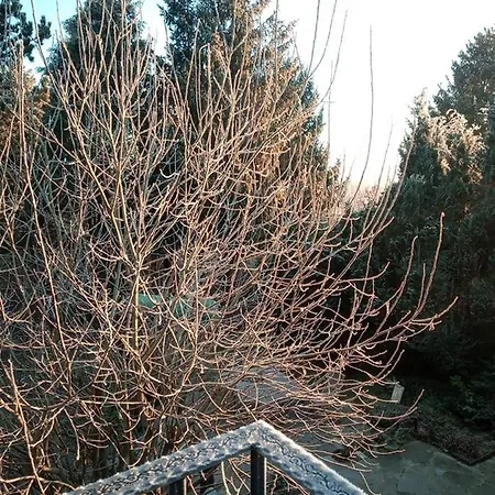 Chateau Brulant * סומה - לוזה